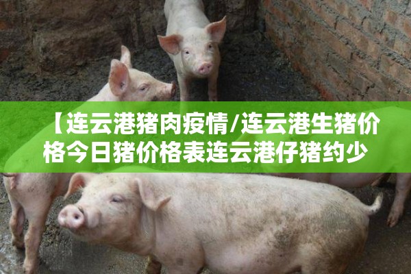 玩家辅助神器:微乐免费建房是真的么”开挂(透视)辅助神器