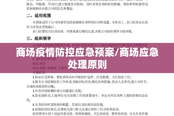 商场疫情防控应急预案/商场应急处理原则