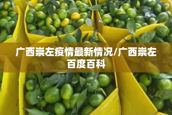 安装程序教程“小程序麻将一直输”开挂辅助脚本+详细开挂安装教程