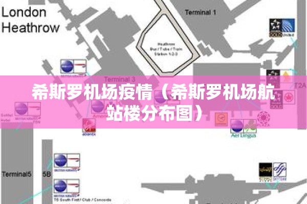 国内疫情研究综述/国内外疫情研究综述