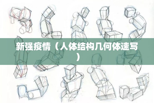 新强疫情（人体结构几何体速写）