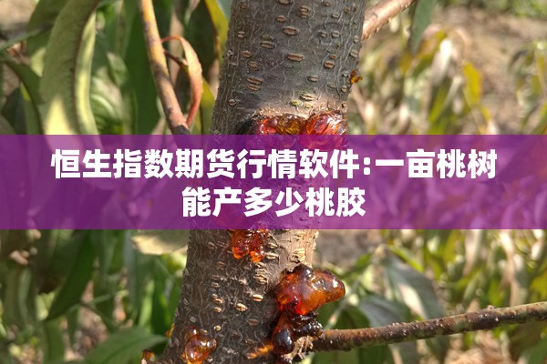 深圳会展中心疫情报告（深圳会展中心2026今天现场展示）