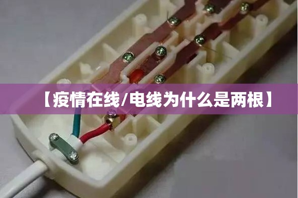 新闻联播报道疫情:新闻联播报道疫情防控措施