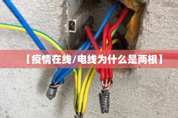 【疫情在线/电线为什么是两根】