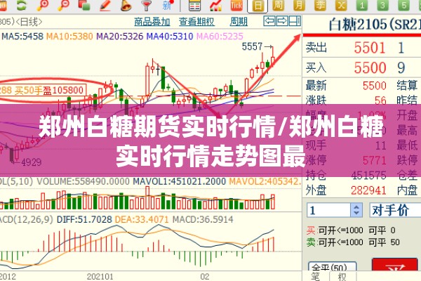 郑州白糖期货实时行情/郑州白糖实时行情走势图最 郑州白糖期货实时行情/郑州白糖实时行情走势图最