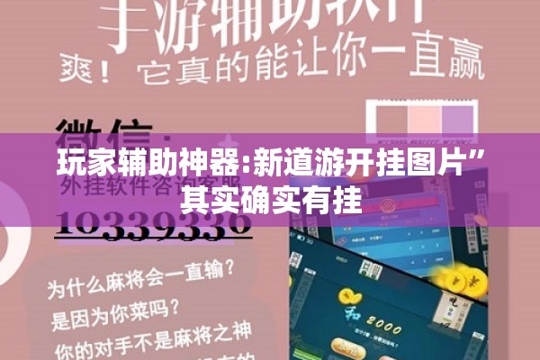 玩家辅助神器:新道游开挂图片”其实确实有挂