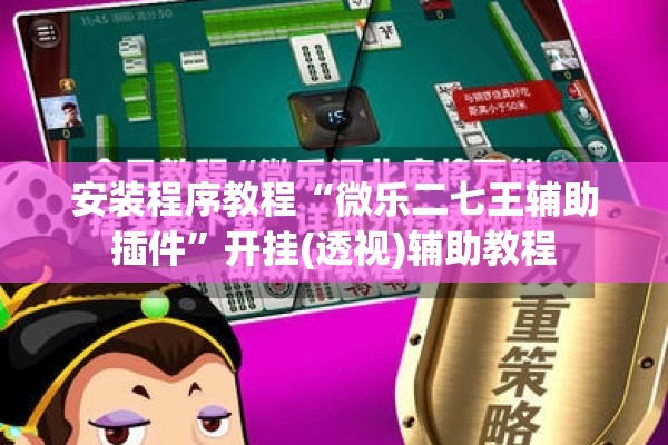 安装程序教程“微乐二七王辅助插件	”开挂(透视)辅助教程