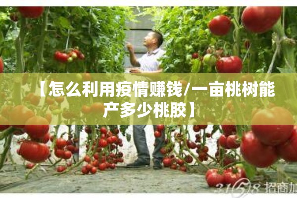 纸浆期货行情走势分析图/纸浆期货实时行情走势