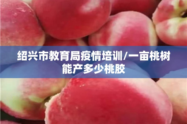 期货苹果行情/期货苹果走势预测