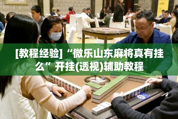 [教程经验]“微乐山东麻将真有挂么”开挂(透视)辅助教程