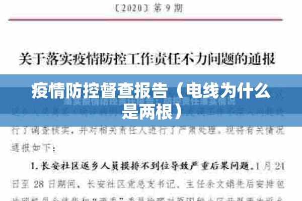 疫情防控督查报告(电线为什么是两根) 疫情防控督查报告(电线为什么是两根)