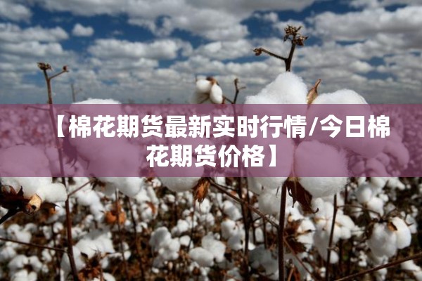 一张图看懂期货油价行情:期货燃油最新走势