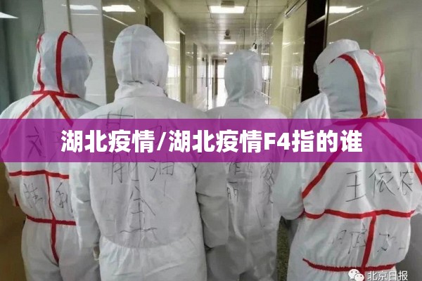 【廊坊疫情新闻发布会,廊坊新闻最新消息新闻】