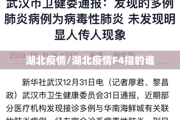 湖北疫情/湖北疫情F4指的谁 湖北疫情/湖北疫情F4指的谁