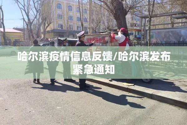 哈尔滨疫情信息反馈/哈尔滨发布紧急通知 哈尔滨疫情信息反馈/哈尔滨发布紧急通知