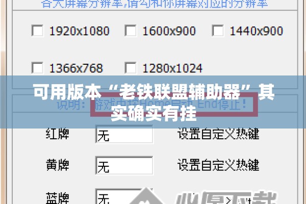 可用版本“老铁联盟辅助器”其实确实有挂