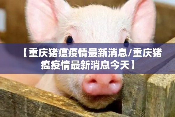 河北清河疫情最新通报/河北清河疫情最新通报数据