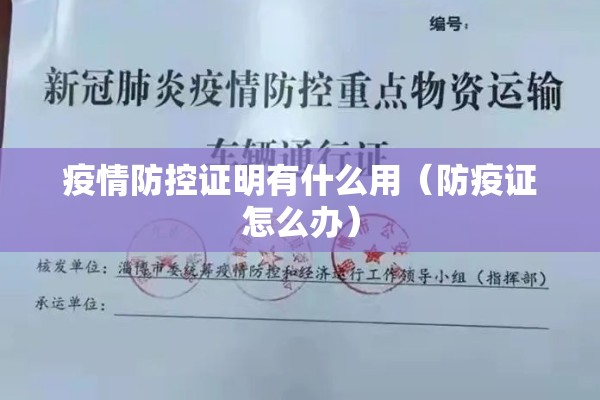 干货期货行情（期货商品行情）
