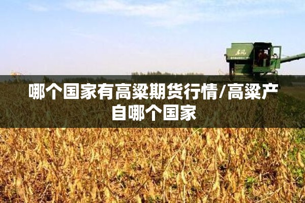 可用版本“微乐捉鸡麻将万能开挂器免费”分享装挂详细步骤