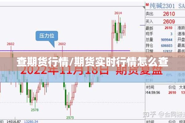 查期货行情/期货实时行情怎么查 查期货行情/期货实时行情怎么查