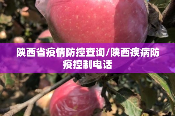 陕西省疫情防控查询/陕西疾病防疫控制电话