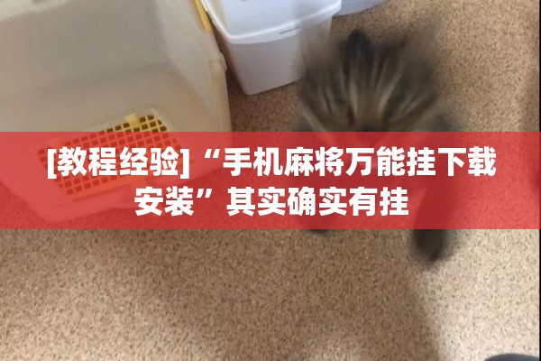 [教程经验]“手机麻将万能挂下载安装	”其实确实有挂