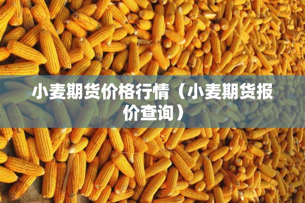 玩家辅助神器:微乐内蒙麻将开挂教程”开挂(透视)辅助神器