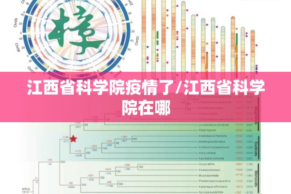 比特币国际期货行情走势（比特币国际期货行情走势分析）