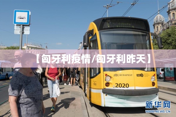 疫情直播带货/抗疫情期间直播