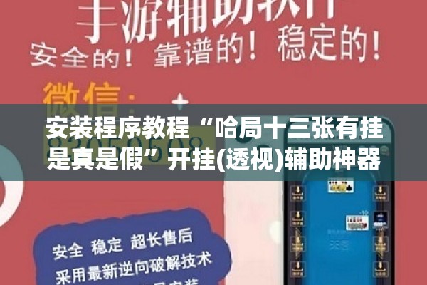安装程序教程“中至余干510k有挂吗”(透视挂)辅助透视教程