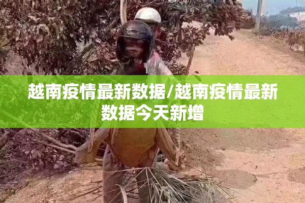越南疫情最新数据/越南疫情最新数据今天新增 越南疫情最新数据/越南疫情最新数据今天新增