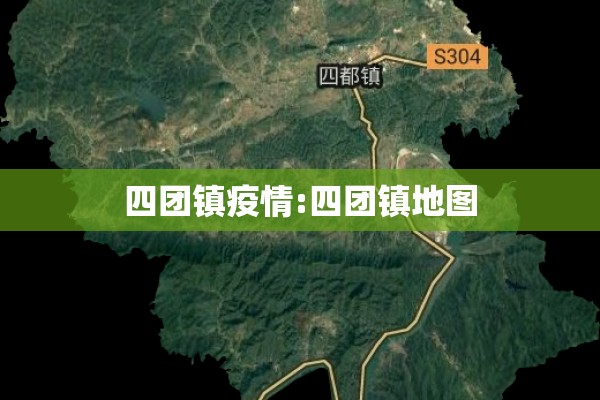 四团镇疫情:四团镇地图