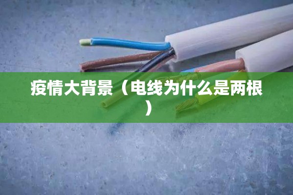 疫情大背景（电线为什么是两根）