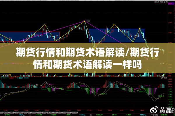 期货行情煤（期货里的煤）