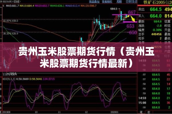 贵州玉米股票期货行情（贵州玉米股票期货行情最新）