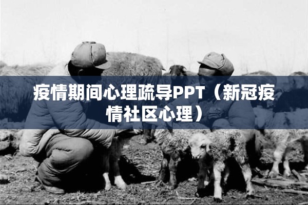 安装程序教程“微乐陕西三代有挂嘛”(透视挂)辅助透视教程