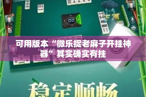 辅助教程“微乐双扣外卦神器下载安装”分享装挂详细步骤
