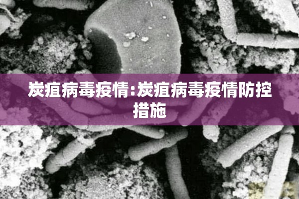 上海疫情谣言都是真的/上海疫情 知乎