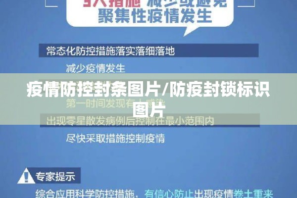 木棉期货行情/木材期货实时行情