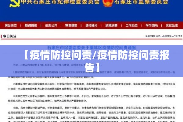 【疫情防控问责/疫情防控问责报告】