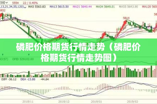 磷肥价格期货行情走势（磷肥价格期货行情走势图）