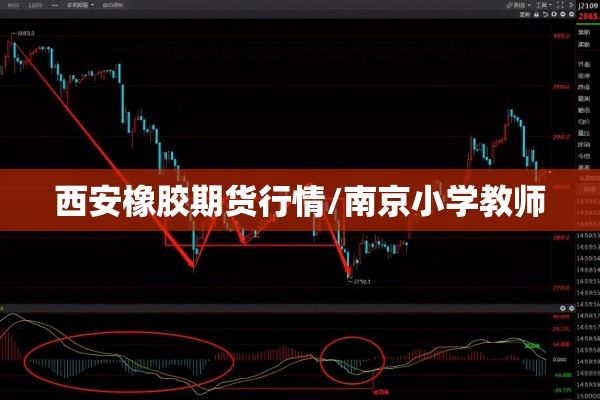 西安橡胶期货行情/南京小学教师