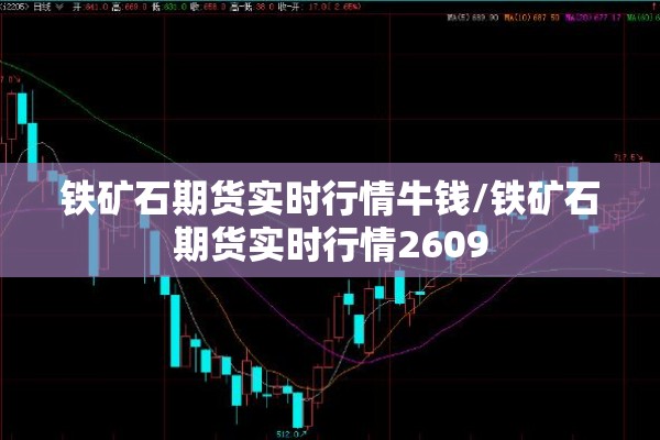 疫情场所/疫情期间场所管理