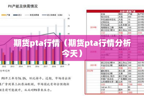 期货pta行情（期货pta行情分析今天）