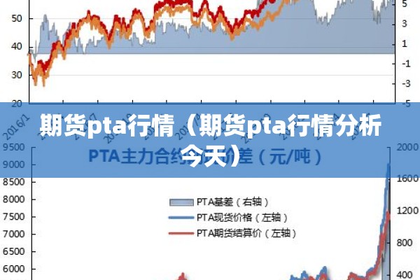 期货pta行情（期货pta行情分析今天）