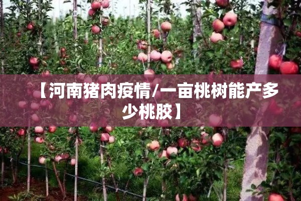 【岳西县疫情最新通知/岳西县疫情最新通知公告】