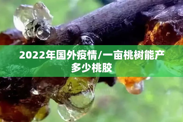 【疫情期间上海金融公司,上海金融贷款公司合法吗】