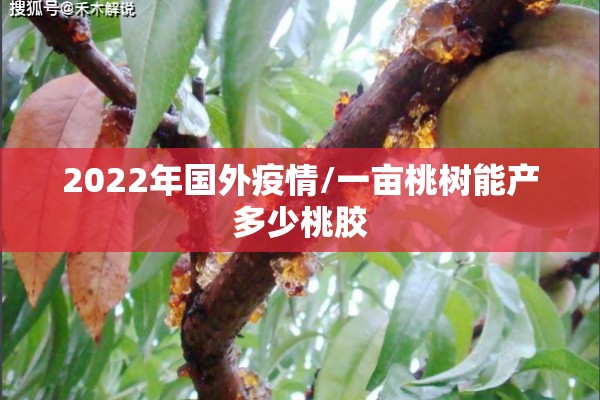 2022年国外疫情/一亩桃树能产多少桃胶