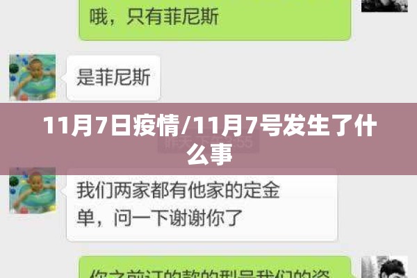 11月7日疫情/11月7号发生了什么事