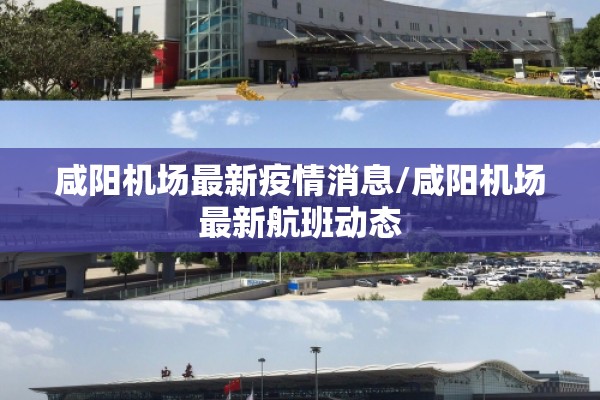 疫情问责流程图（问责情况向谁通报）